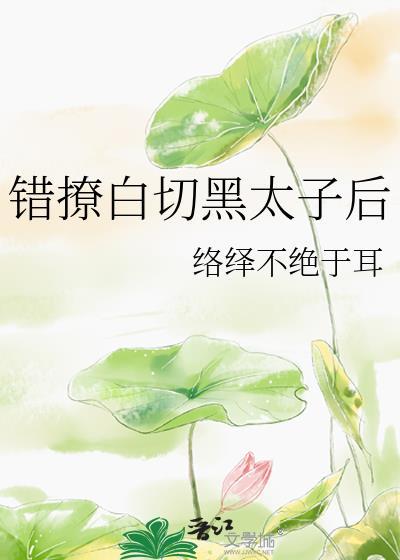 错撩白切黑太子后TXT