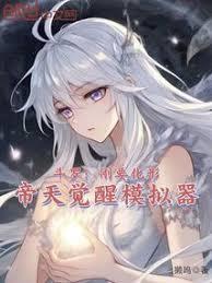 帝天觉醒模拟器_
