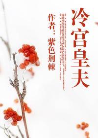 冷宫夫女尊