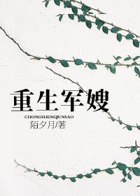 重生军嫂的奋斗史