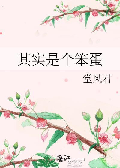 另一个也是笨蛋