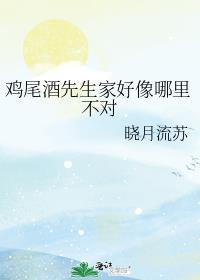 鸡尾酒先生家好像哪里不对 晓月流苏百度