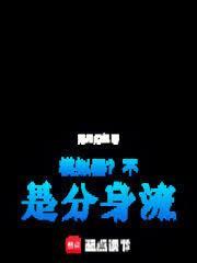 模拟机型分身