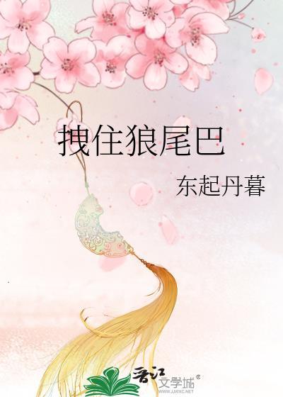 拽住狼尾巴云盘TXT
