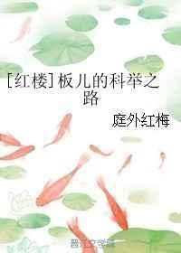 红楼梦里的板儿是做什么的