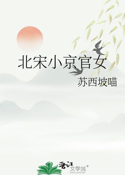 宋朝小官