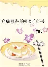 穿越成总裁的姐姐