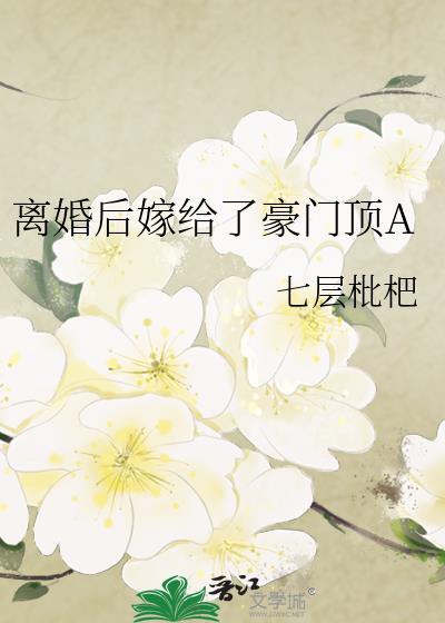 离婚后嫁人天价豪门