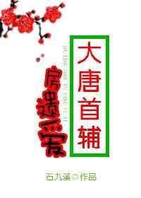 大唐首辅房遗爱免费阅读