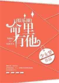 命里有他娱乐圈少女梦