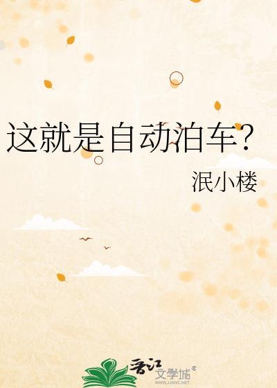 自动泊车什么意思