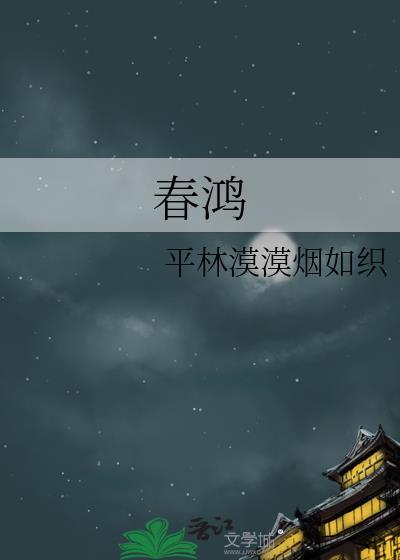 春鸿电子科技有限公司