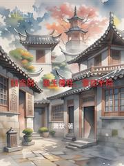 重生四合院之我是傻柱