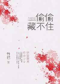 偷偷藏不住原著