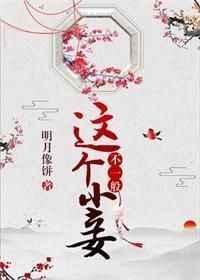这个小妾不一般免费阅读