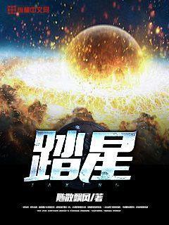 踏星十决
