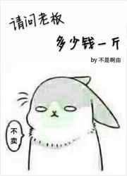 请问老板多少钱一斤