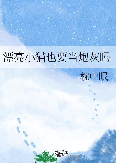 漂亮小猫也要当炮灰吗